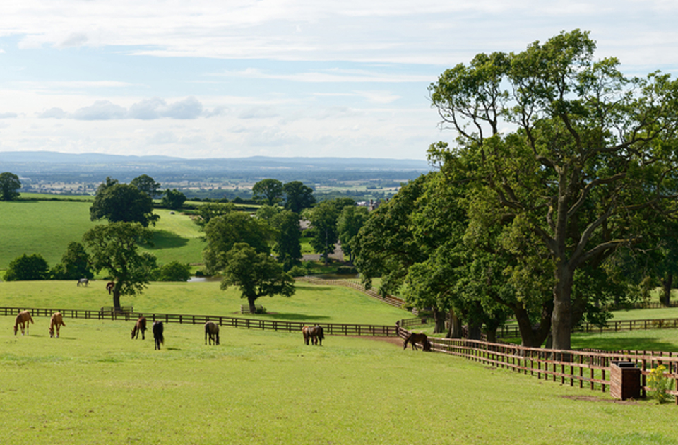 Church Farm